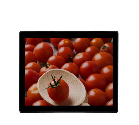19&quot; Industrial Touch Screen Monitor VGA DVI Input Kiosks Waterproof LCD Monitor