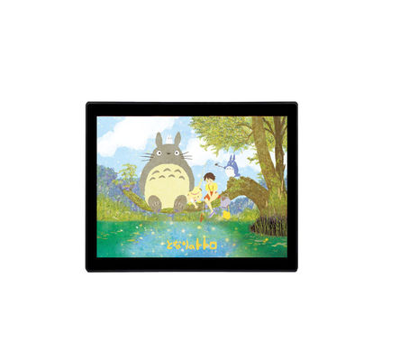 DC 12V3A 19 Inch Industrial LCD Monitor Waterproof LCD Monitor ROHS